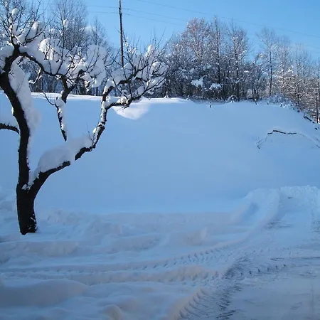 Grieswirt 蒂罗的圣约翰