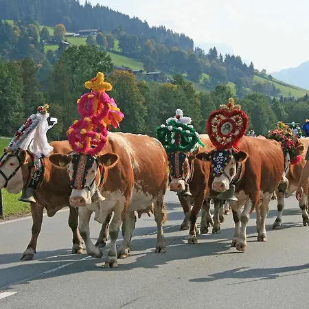 Grieswirt Konukevi 3*